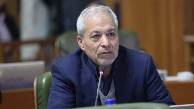 سید محمود میرلوحی
