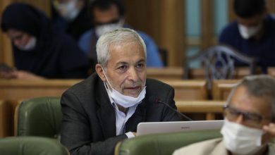 محمود میرلوحی