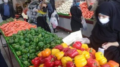 میادین میوه و تره بار پایتخت