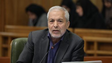 سید محمود میر لوحی