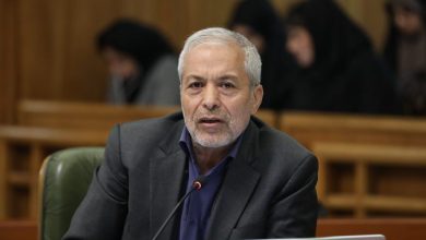 سیدمحمود میرلوحی