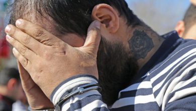 فروشنده گونه‌های تاکسیدرمی در تهران