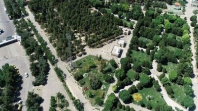 پارک ترافیک در شمال تهران