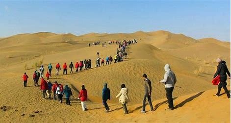 تورهای داخلی و خارجی