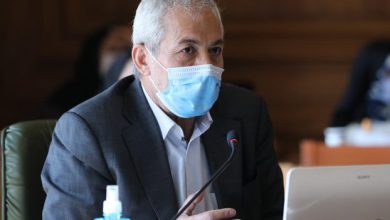 سید محمود میر لوحی