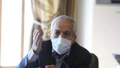 سید محمود میرلوحی