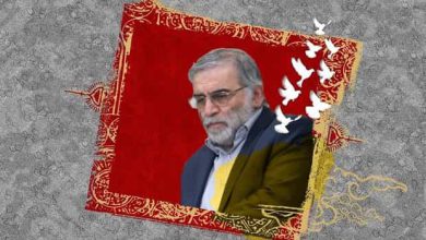 محسن فخری زاده