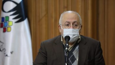 محمد جواد حق شناس