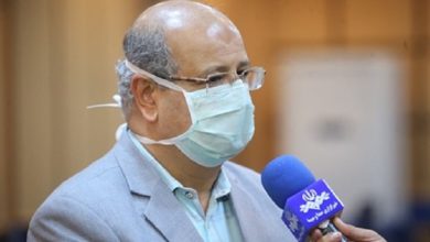 علیرضا زالی