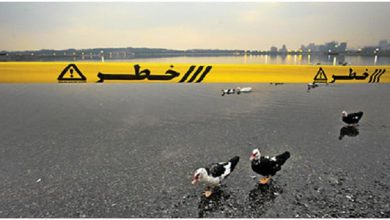 گوشتخواری مانند تمساح در دریاچه چیتگر