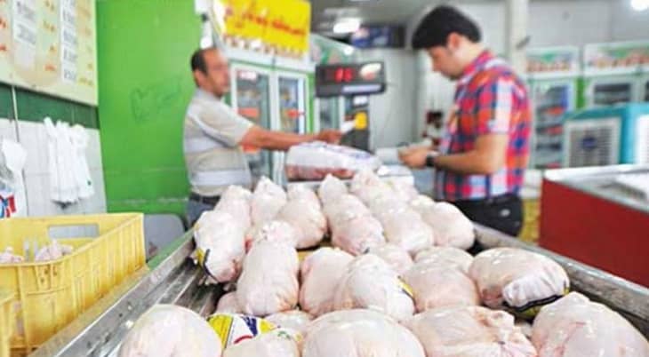 قیمت مرغ