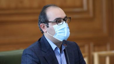 حجت نظری