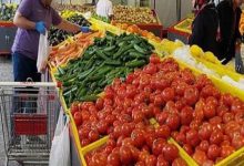 میوه تره بار در تهران