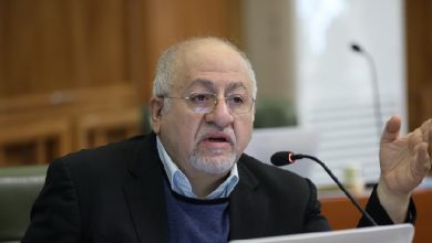 محمد جواد حق شناس