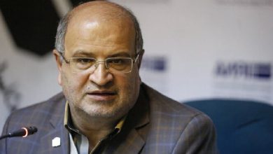 علیرضا زالی