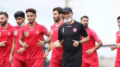 یحیی گل محمدی
