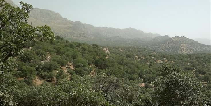 اراضی منابع طبیعی