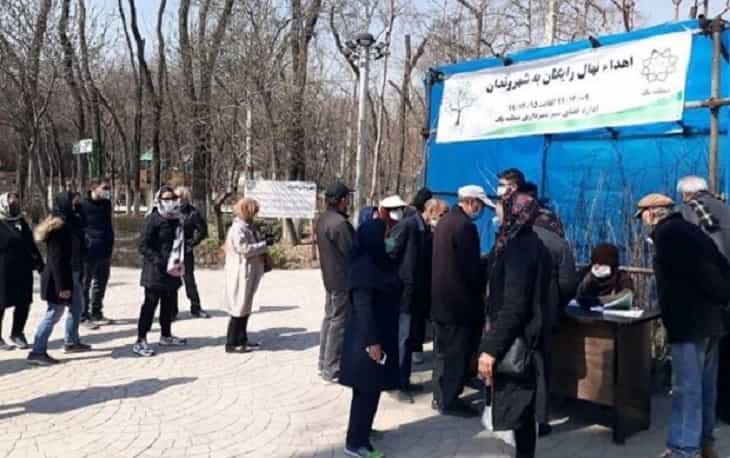 توزیع نهال رایگان