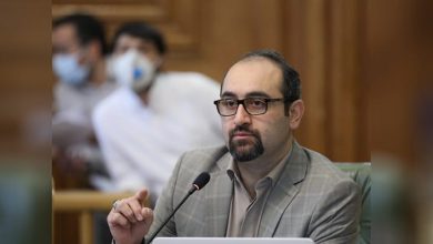 حجت نظری