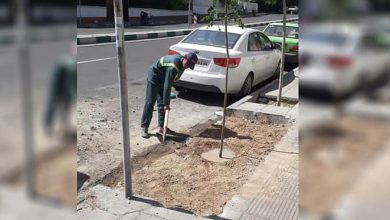 نهال حیات اکباتان