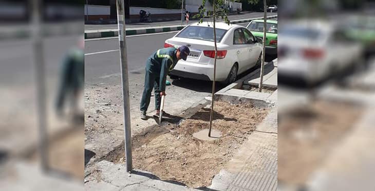 نهال حیات اکباتان