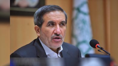 ناصر امانی کیست
