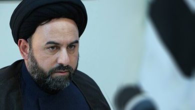 سید محمد آقامیری بیوگرافی