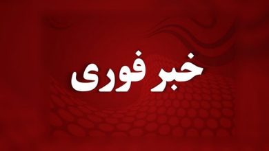 خبر فوری