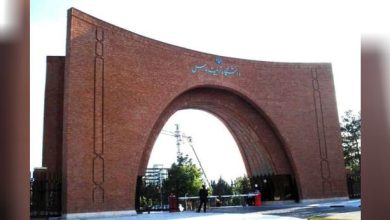 تربیت مدرس