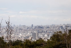 تهران