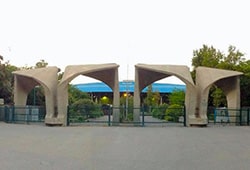 دانشگاه تهران