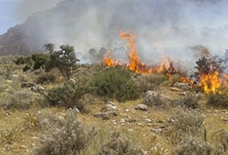 آتش سوزی در تهران