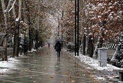 برف و باران در تهران