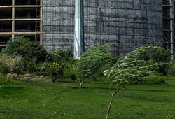 باد در تهران