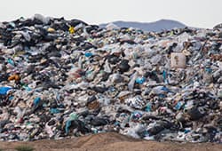 بساط زباله گردی باید در شهر تهران برچیده شود