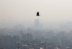 تهران آلوده