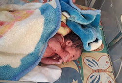 تقاضا برای به فرزندخواندگی گرفتن نوزاد تازه پیدا شده در خیابان نازی آباد