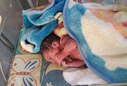 نوزاد رها شده در سطل زباله نازیآباد