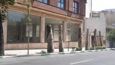 میدان فاطمی؛ خیابان کاج