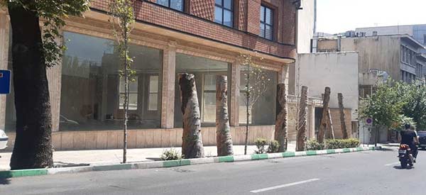 میدان فاطمی؛ خیابان کاج