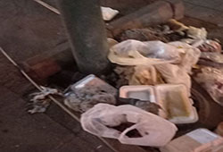 جمع آوری مخازن زباله به دستور شورای تامین استان