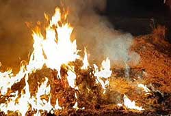 پسماندسوزی