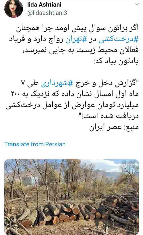 درخت کشی شهرداری زاکانی 