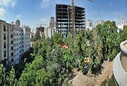 هر هکتار باغ شهری سالانه ۲.۵ میلیون تن اکسیژن تولید می‌کند / کاهش ۵۰ درصدی مساحت باغات تهران