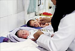 زاد و ولد در تهران