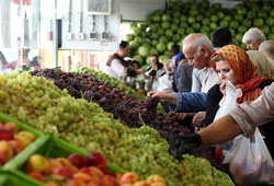 افتتاح ۲۲ میدان و بازار میوه و تره‌بار در تهران
