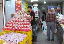 توزیع مرغ کیلویی ۶۱ هزارتومان در میادین تره بار تهران