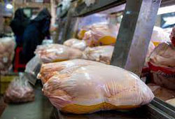توزیع روزانه ۱۱۰۰ تن مرغ در تهران