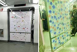 دیوارکشی در خیابان
