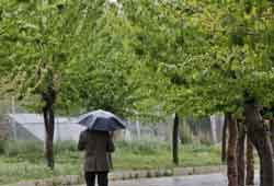 بارش پراکنده در تهران تا شنبه